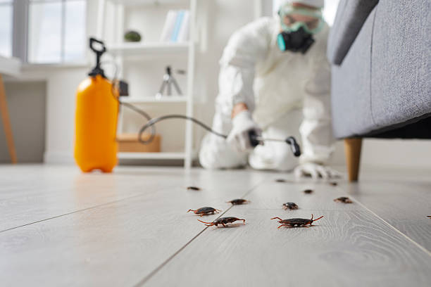 Commercial Kitchen Cockroach Control in Sundance